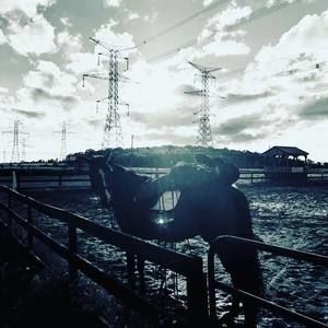 Meet your Posher, Lexi